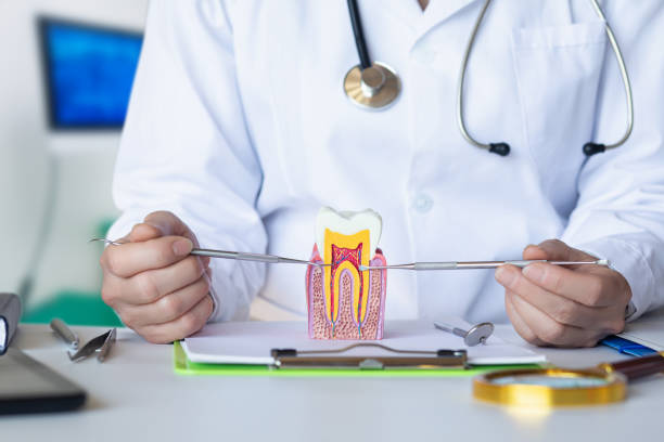 Best Urgent Tooth Repair  in River Road, WA